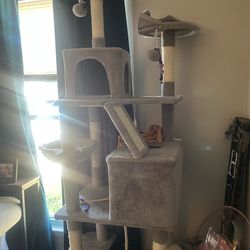 Cat climber and more