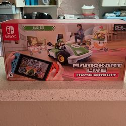 Mariokart Live Luigi Set