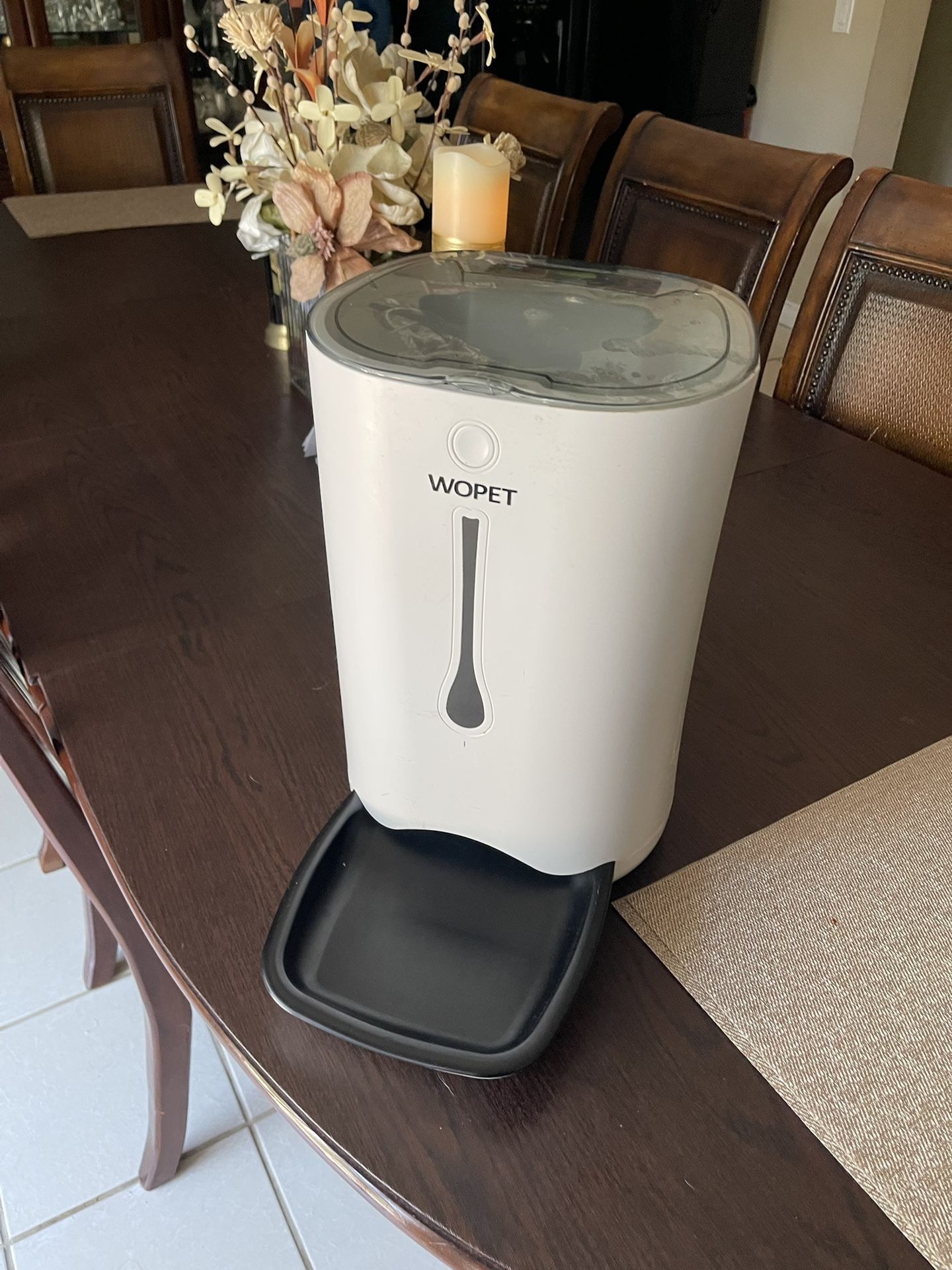 automatic  dog or cat feeder 