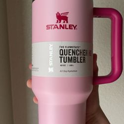 Pink Stanley 