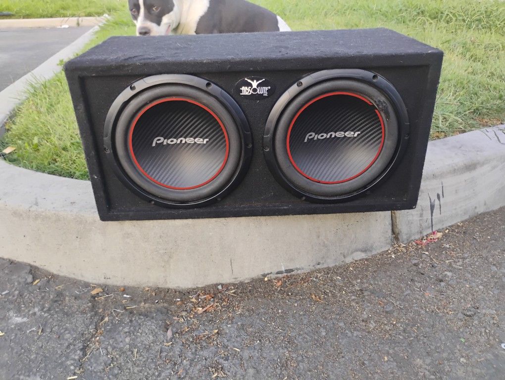 Dual 10 Inch Pioneer TS-W254R Champion Series Subwoofers In Absolute Enclosure