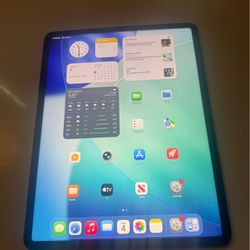 iPad Pro 12.9 Inches 5th Generation WiFi Cellular 