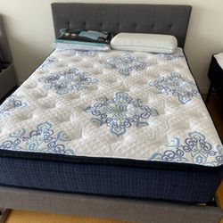 , Still in Plastic, Brand NEW Mattresses