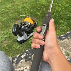 Spinning, Reel, Fishing Pole