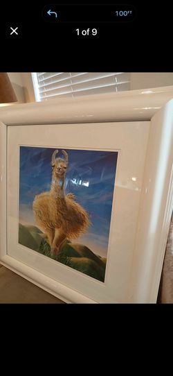 "Llofty Llama" limited edition signed framed 28x28”