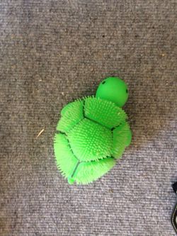 Squeeze Turtle