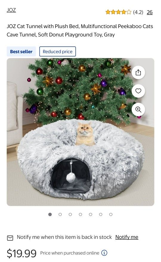 Fluffy Cat Tunnel