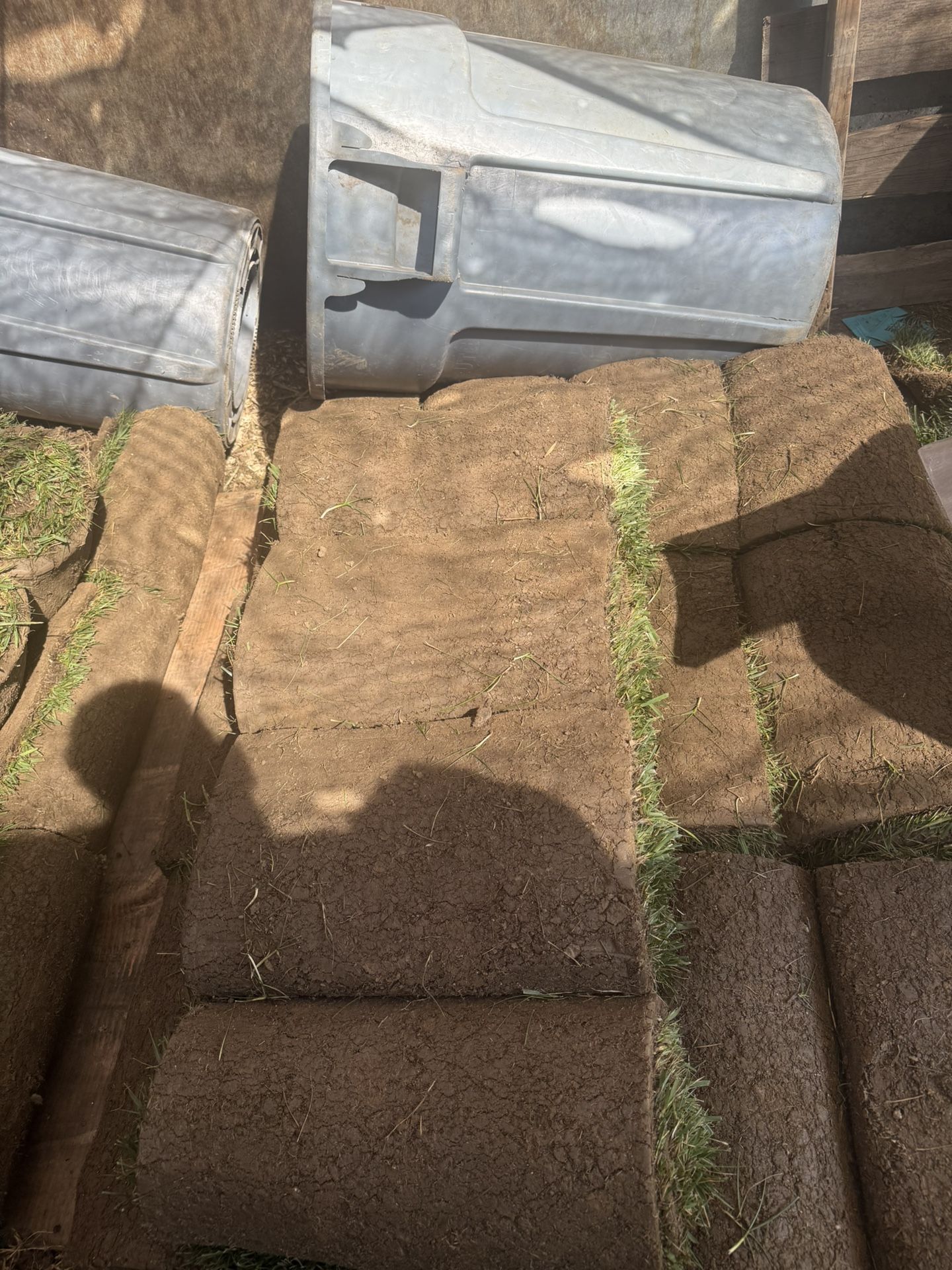 Fresh Rolls Of Sod Tall Fescue