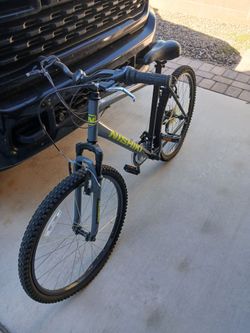 Adult bike