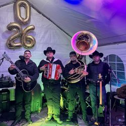 Bateria Tuba Bajo Quinto y Acordeón 