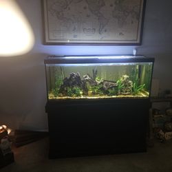 75 Gallon Fish Tank Comes  With Accessories 