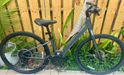 Trek Verve