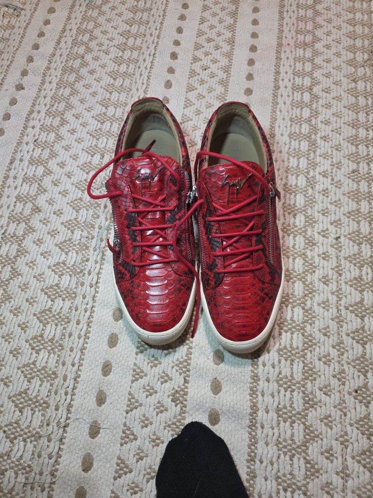 giuseppe zanotti BNIB Python leather sneakers