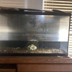 Fish/reptile Tank 
