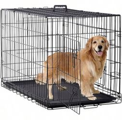 Dog kennel