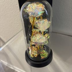 Light Up Rose in A Glass Dome $20 