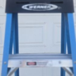 Werner 6 ft. Fiberglass Step Ladder  250 lb. capacity