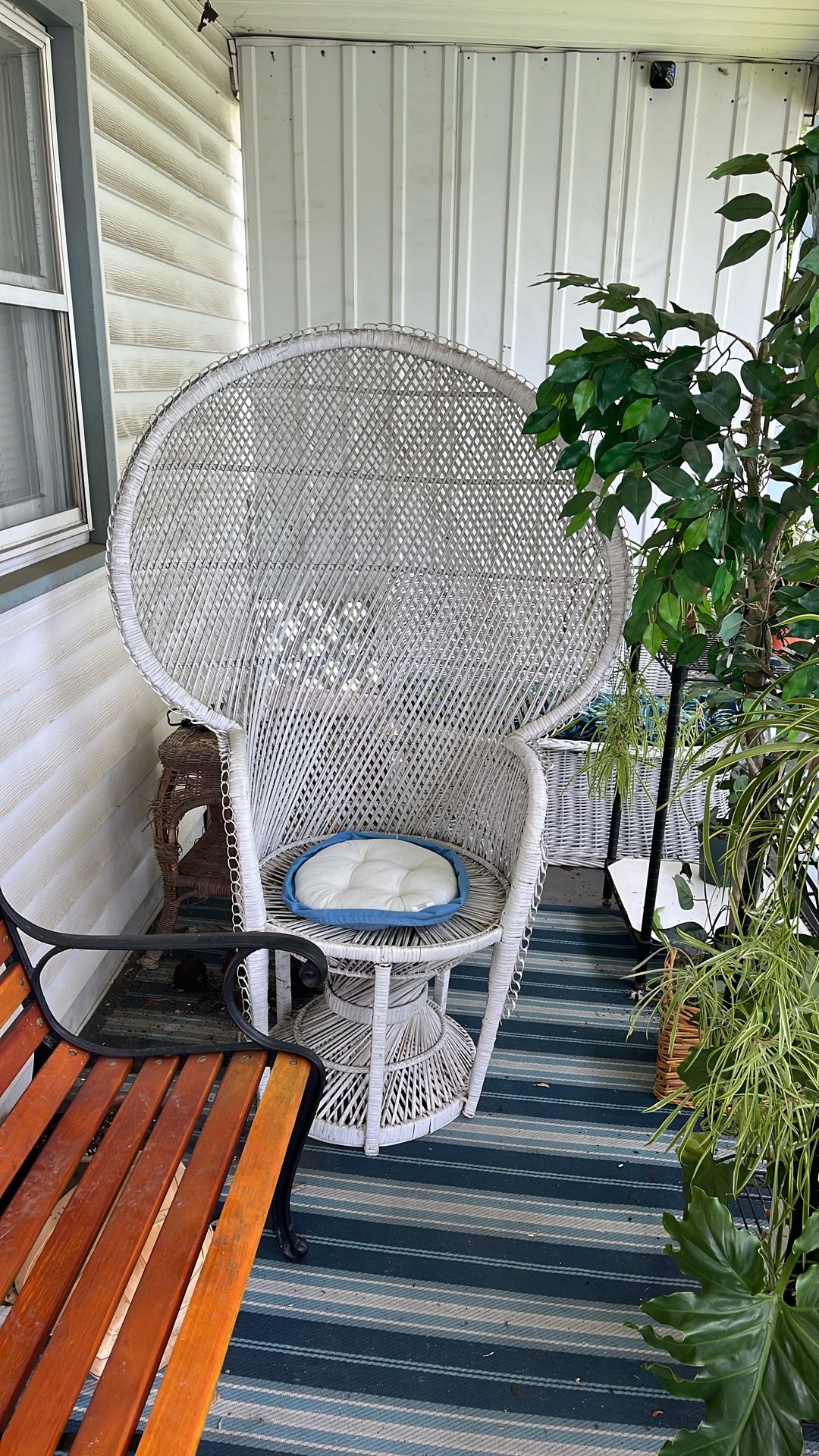 Peacock Chair