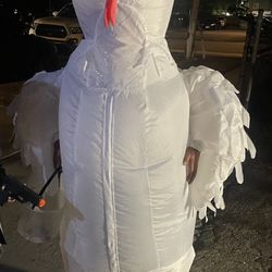 Halloween Costume