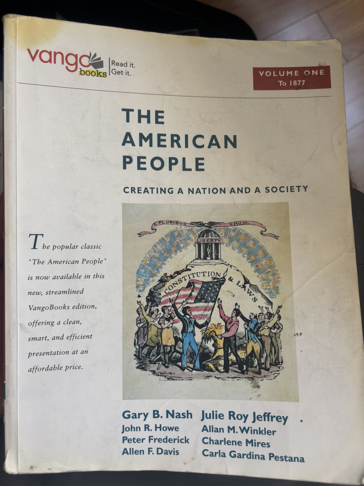The American People Volume 1