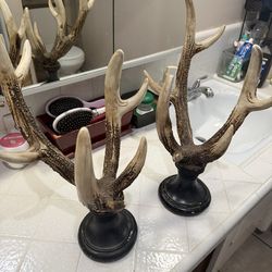 Deer Antlers