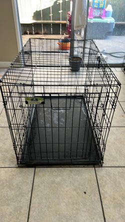 Dog crate ( Top Paw 36 inch Double Door Folding crate )