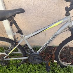 roadmaster mountain bike 