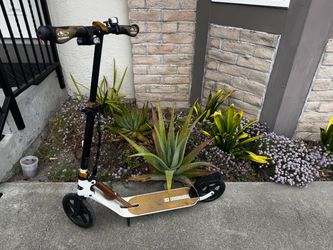 Hudora Big Wheel Adult Kick Scooter, Foldable