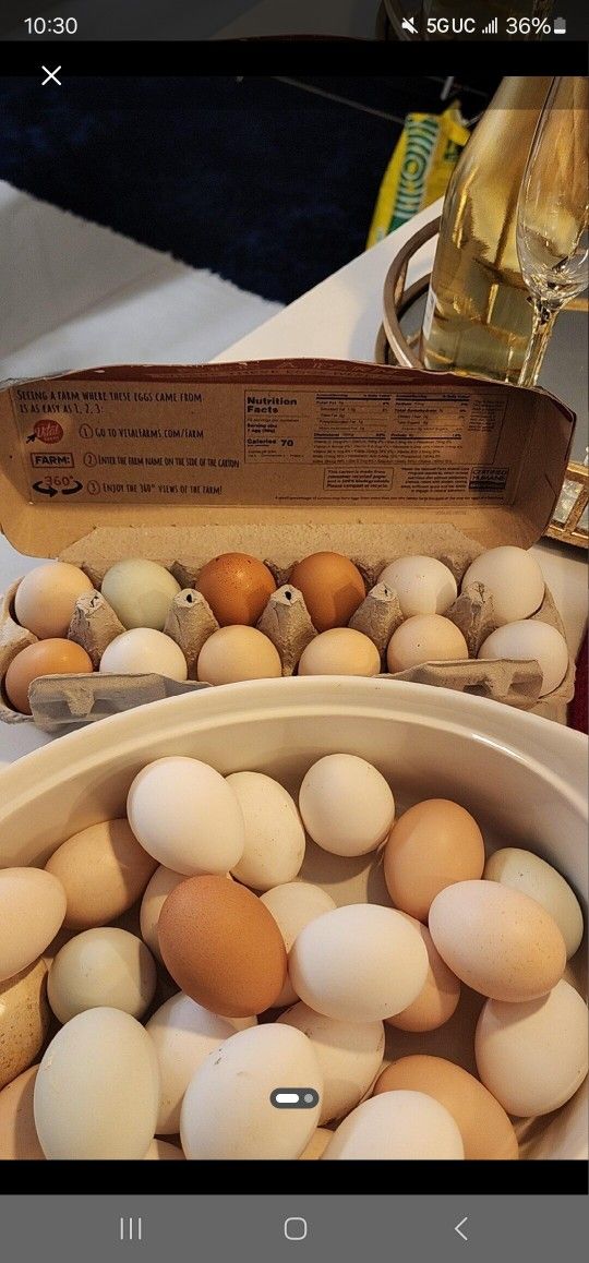 Fresh Eggs