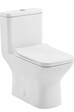 White One-Piece Toilet with Dual Flush