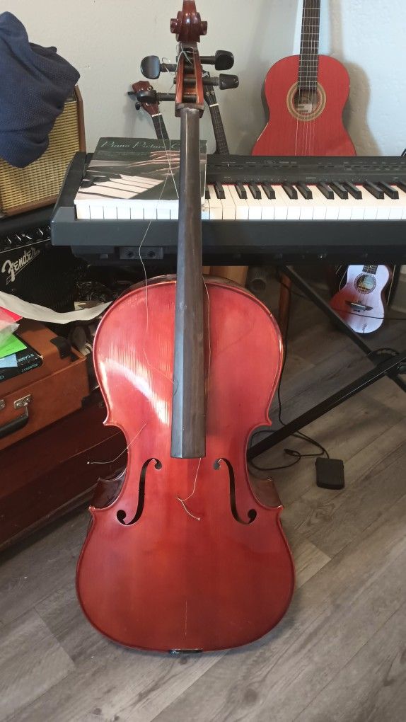 Cello Oxford