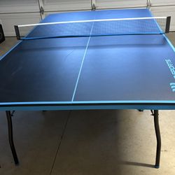 Ping Pong Table