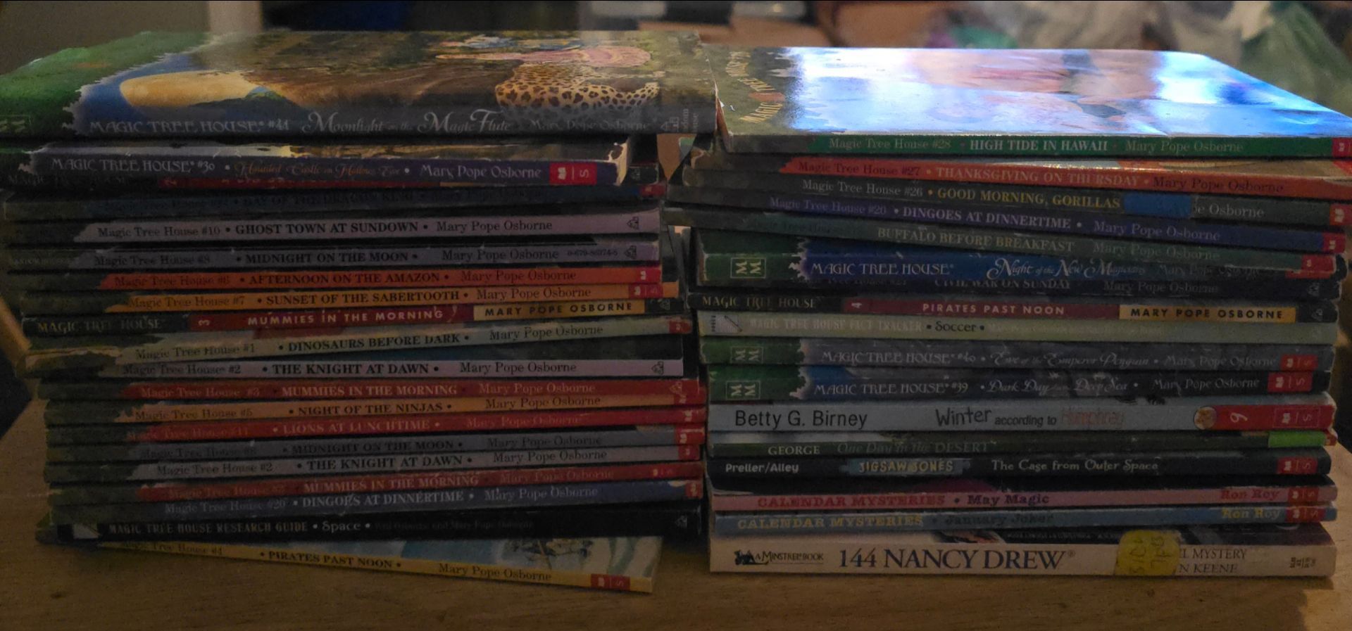 36 The Magic Tree paperback books, color books, various paperback books & a few children's books