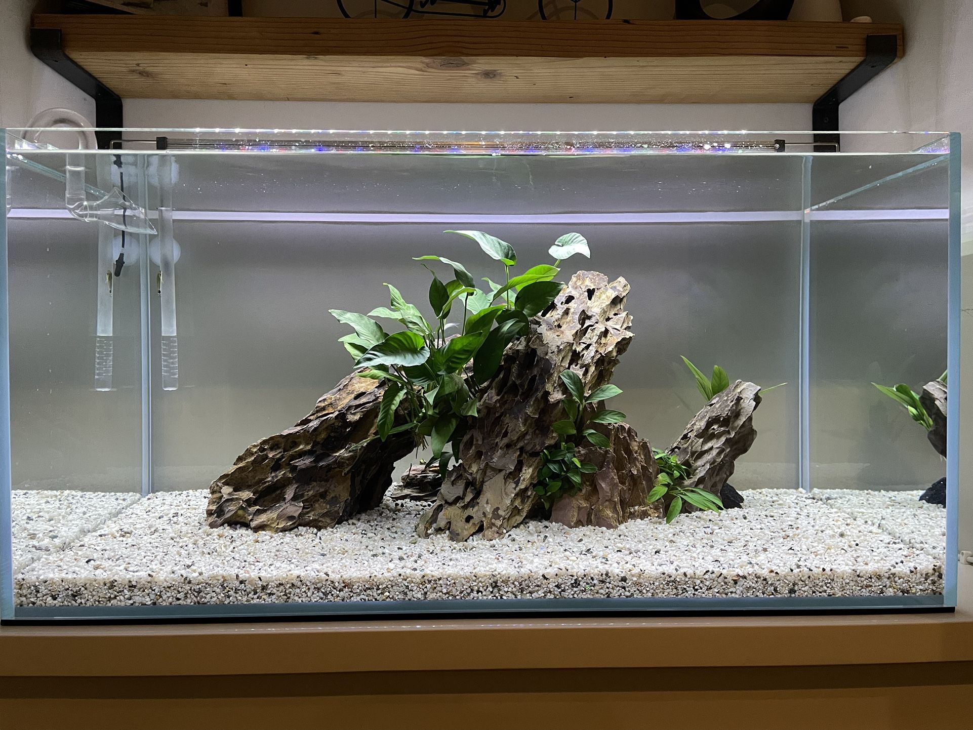 UNS 90P - 44 GALLON ULTRA CLEAR RIMLESS AQUARIUM
