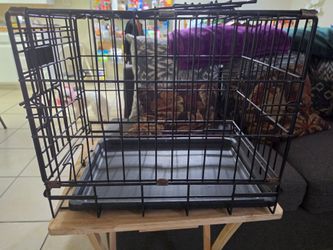 Black Metal Wire Dog Crate with Tray