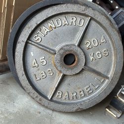 Weights (Iron Plates, Dumbbells, Rubber Plates)