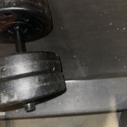 Single Weights Take All For 20$