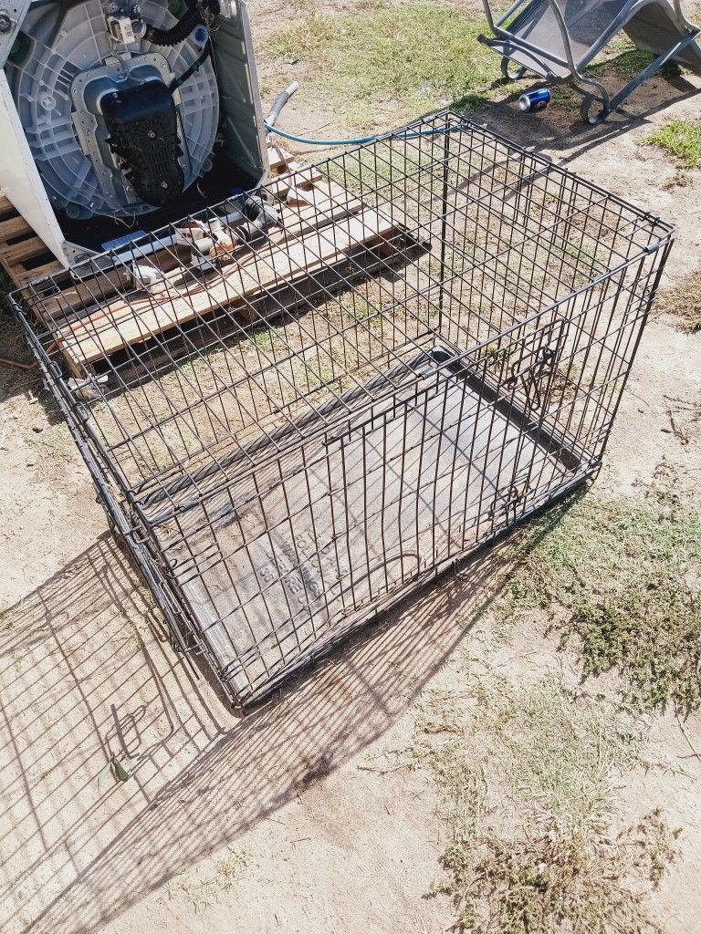 Dog Kennel