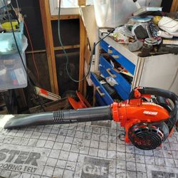 Echo Blower