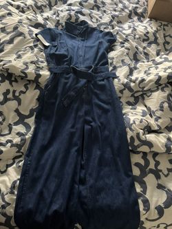 Aritzia Denim Jumpsuit