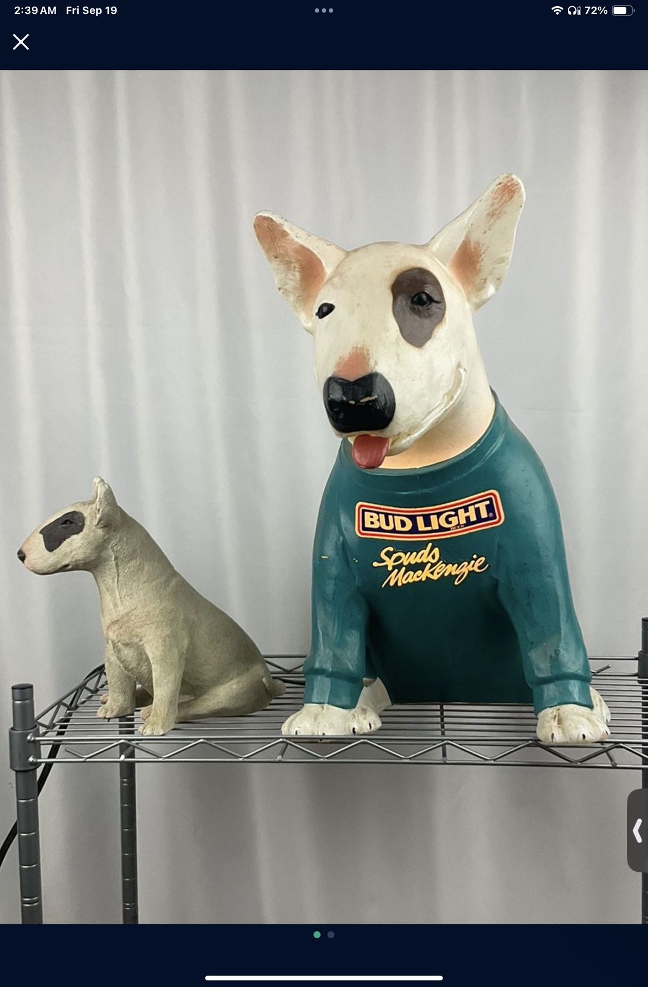 Dog Decor