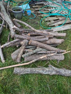 Free Wood