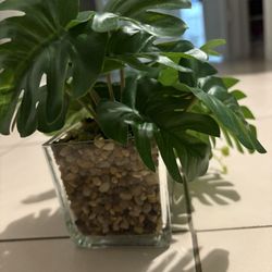 Artificial Plant 