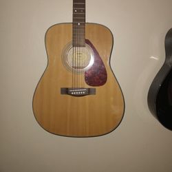 Acoustic Guitar 
