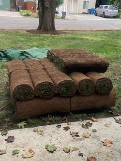 Sod Rolls 23 Ct