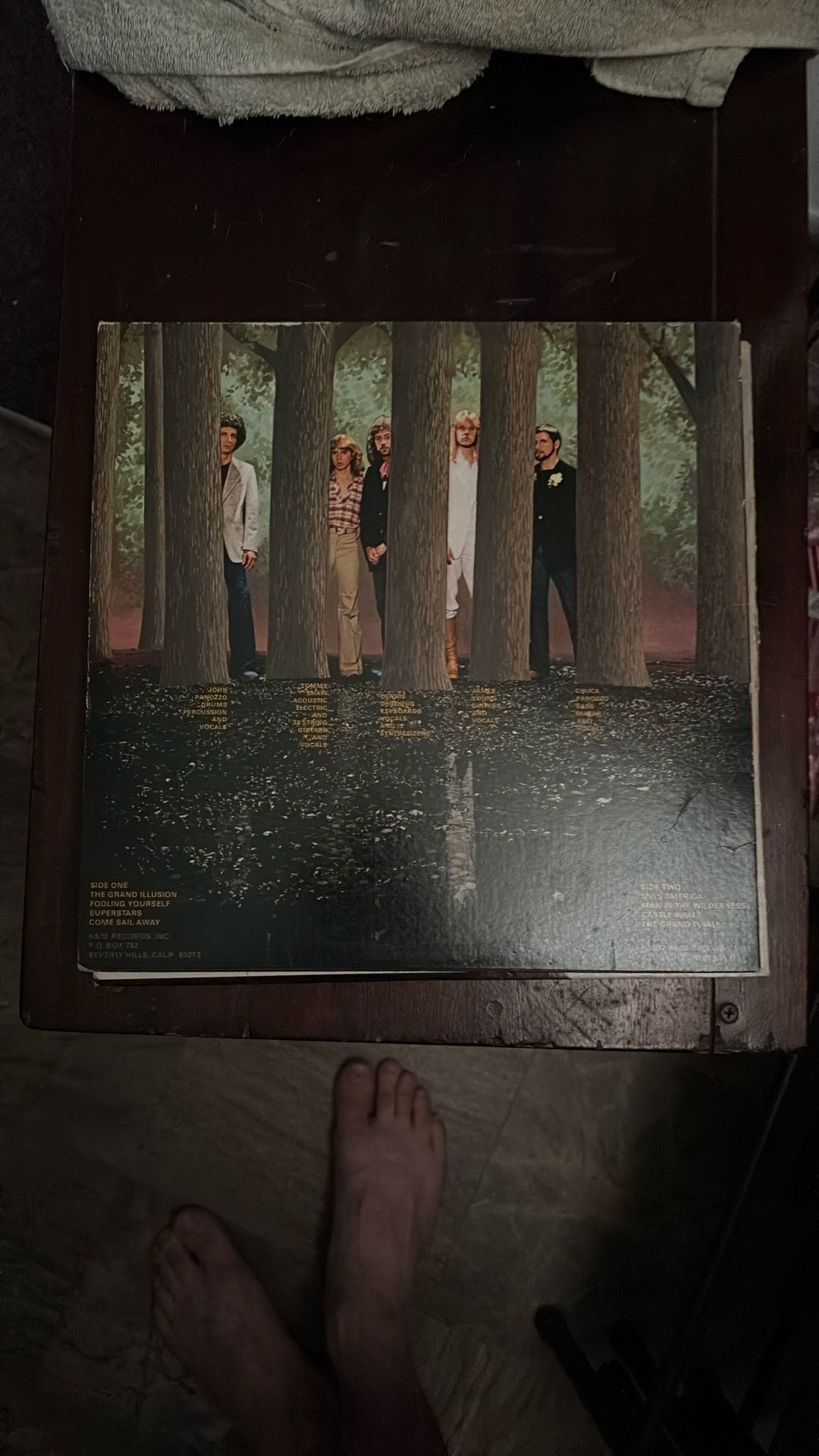 Assorted Vinyls