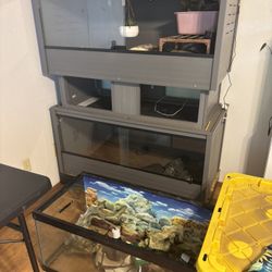 Custome Made Bearded Dragon Inclosure And So Much More