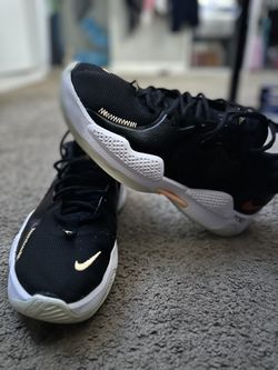 Nike, PG 5 Multicolor
