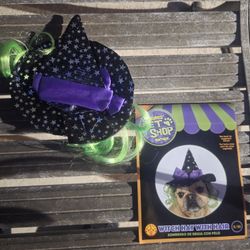 Small Dog Witch Hat