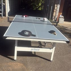 Ping Pong Table 